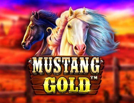 Yonibet Casino